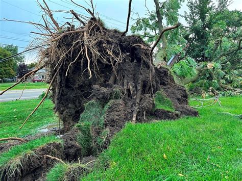 7 tornadoes confirmed as Michigan storms down trees and power lines; 5 people killed